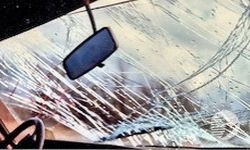 В Пензе погиб водитель, машина которого врезалась в дерево