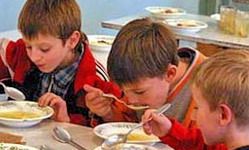 Пензенские депутаты пообедали в школьных столовых