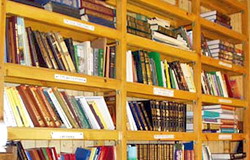В библиотеке Сердобского района открылся пункт выдачи монастырской литературы