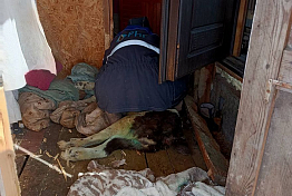 Пензенские спасатели помогли застрявшей в дачном доме собаке