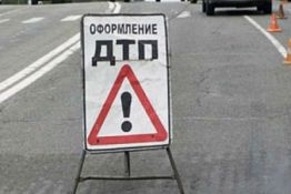 Под Пензой вылетел в кювет автомобиль Kia, пострадали девочки 4 и 6 лет