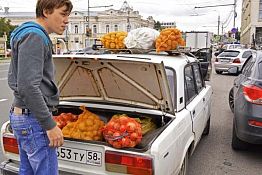 В Пензе на ярмарке картошку по 8 руб. за кг скупали мешками