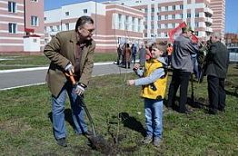 В Пензе у областного госпиталя для ветеранов войн высадили 30 новых деревьев