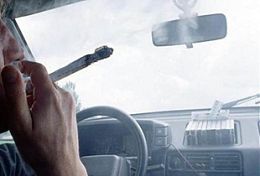 В Пензе водительские права выдали гражданам, страдающим опийной наркоманией