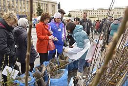 В Пензе 29 апреля на пл. Ленина вновь будет работать ярмарка для дачников