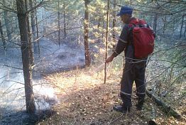 В Пензенской области  9 апреля начался пожароопасный сезон