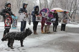 В Пензе защитники животных вышли на митинг