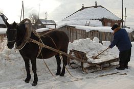 Под Пензой экс-жители несуществующего ныне населенного пункта возвращаются на малую родину