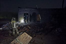 В Пензенской области страшный пожар унес жизни двух пенсионеров