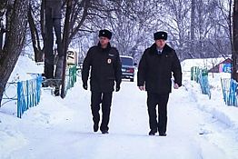 В Башмаковском районе полицейские задержали серийного вора