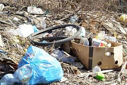 На пензенских дорогах установят фотоловушки на мусорящих