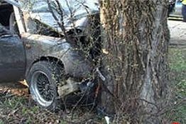 В Пензе мужчина погиб, врезавшись на машине в дерево