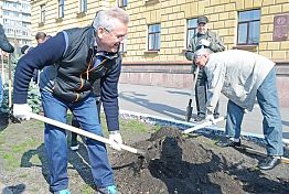 На площади Ленина посадили ели и клены