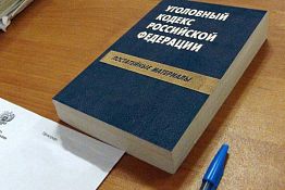 21-летняя мать-одиночка из Москвы возила из Рязани в Пензу наркотики